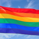 Illustration for article titled Huzzah! NAACP Endorses Same-Sex Marriage